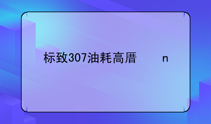 标致307油耗高原因