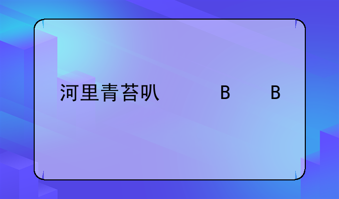 河里青苔可以吃吗