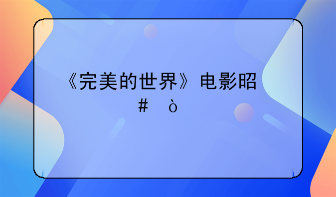 《完美的世界》电影是什么？