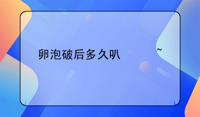 卵泡破后多久可以查出怀孕