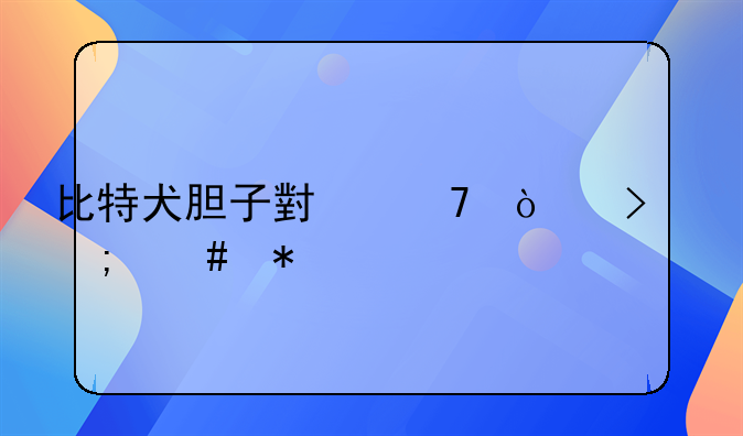 比特犬胆子小不开口怎么办