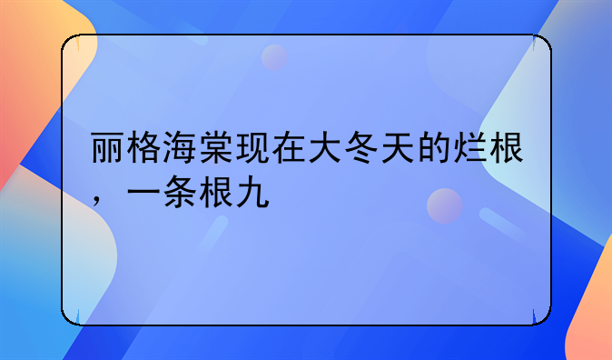 丽格海棠现在大冬天的烂根，一条根也没剩