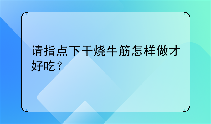 请指点下干烧牛筋怎样做才好吃？