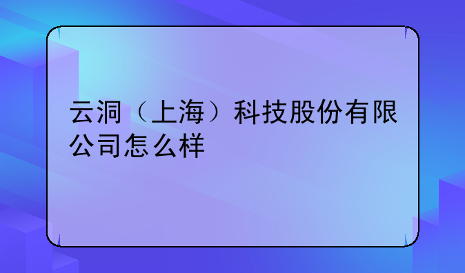 云洞（上海）科技股份有限公司怎么样