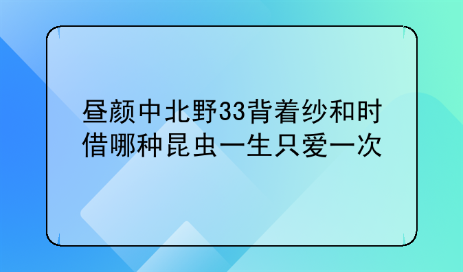 昼颜中北野33背着纱和时借哪种昆虫一生只爱一次