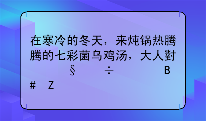 在寒冷的冬天，来炖锅热腾腾的七彩菌乌鸡汤，大人小孩都适合喝