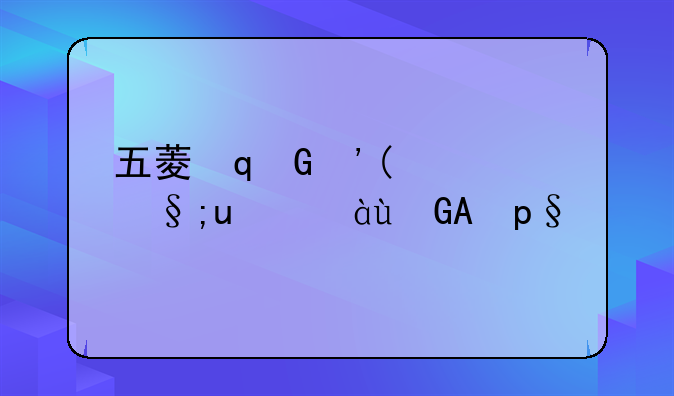 五菱双排跑货拉拉怎么样