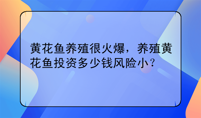 黄花鱼养殖很火爆，养殖黄花鱼投资多少钱风险小？